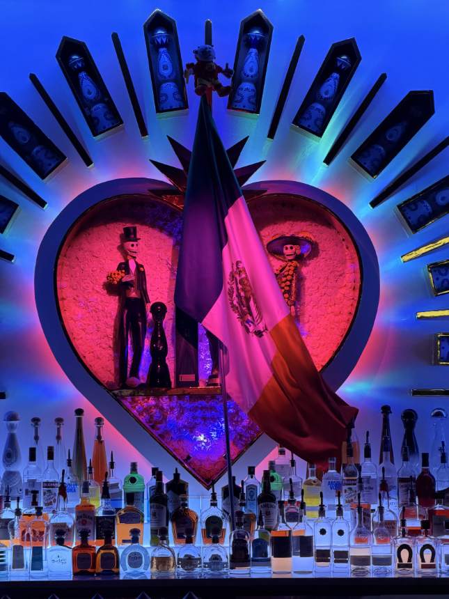Backlit tequila and mezcal bottle wall